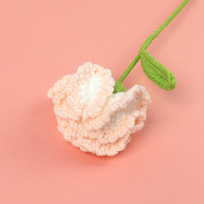 Crocheted carnations