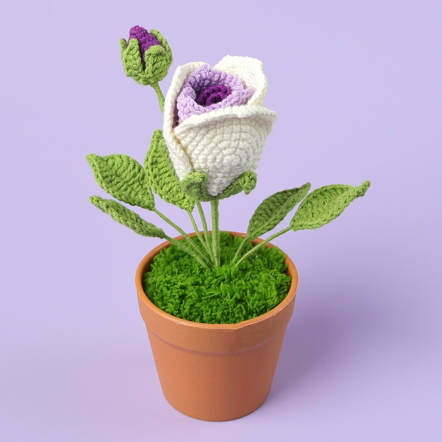 Crocheted potted plant 038