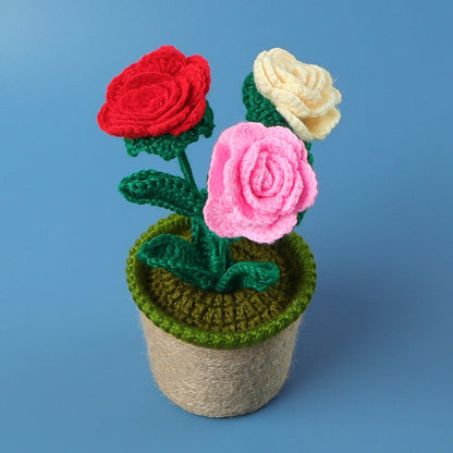 Crocheted potted plant 037