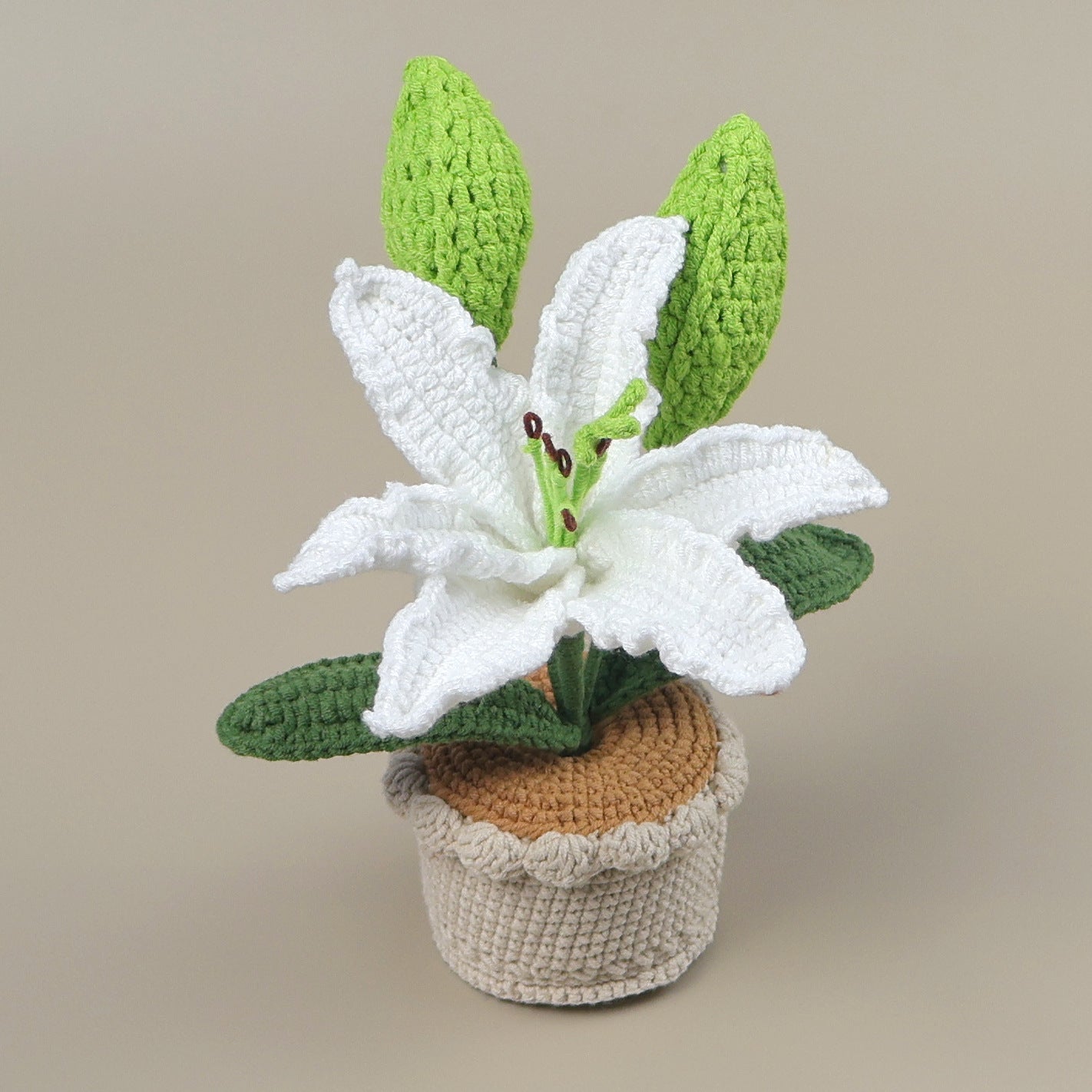 Crocheted potted plant 021