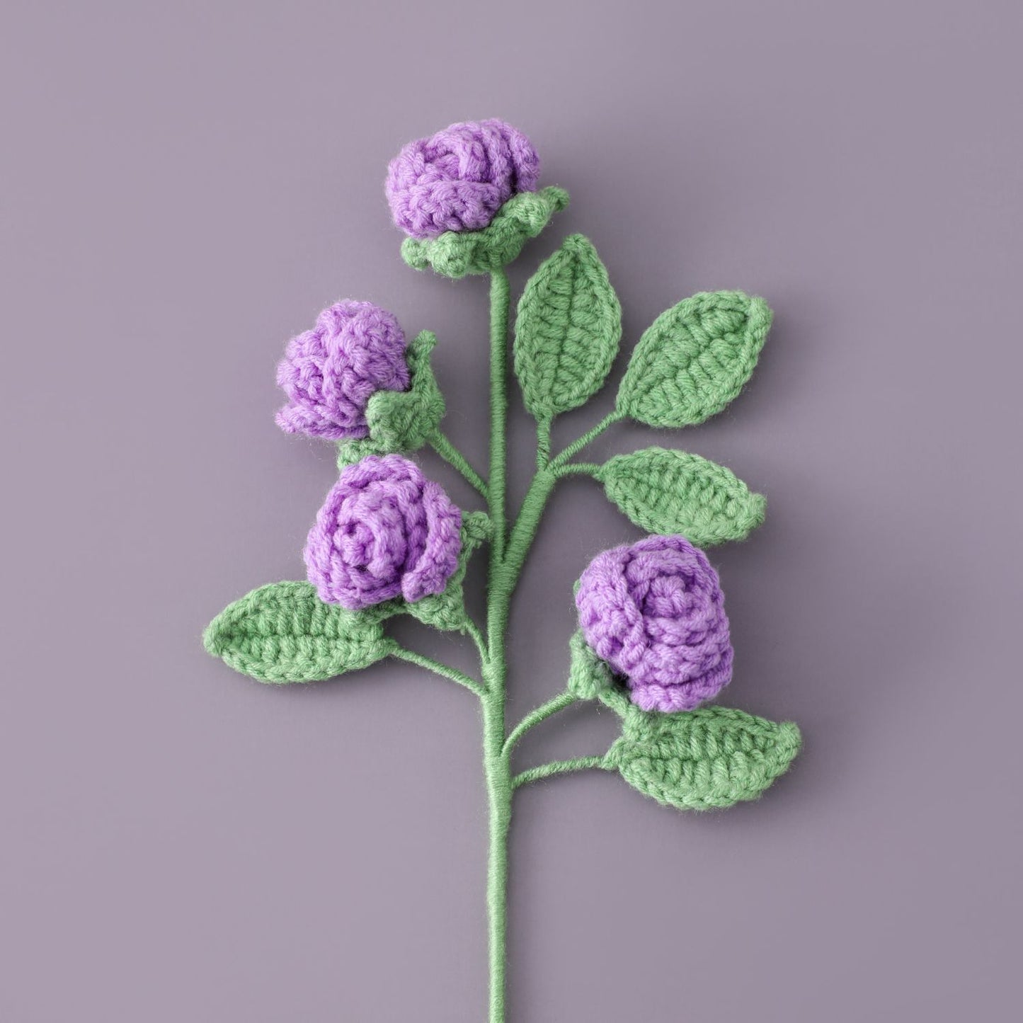 Multiple rose branches