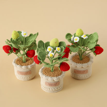 Crocheted potted plant 039