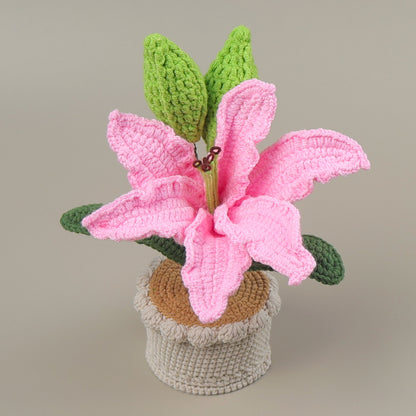 Crocheted potted plant 021