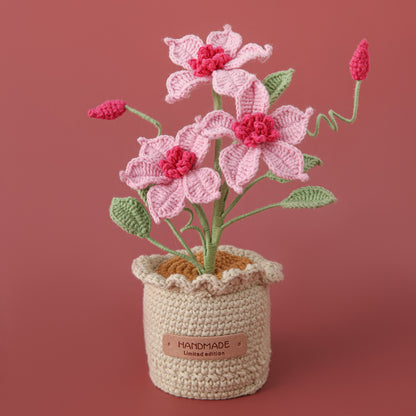Crocheted potted plant 040