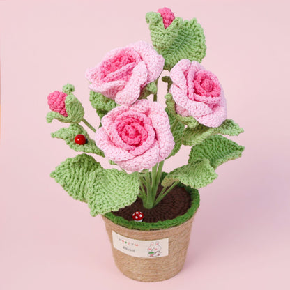 Crocheted potted plant 002