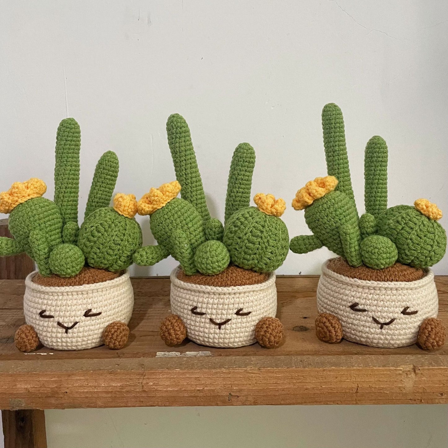 Crocheted potted plant 024