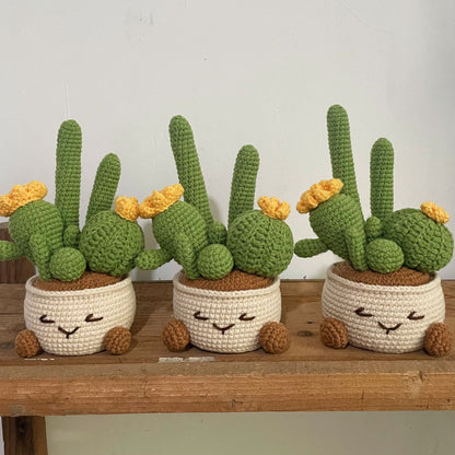 Crocheted potted plant 024