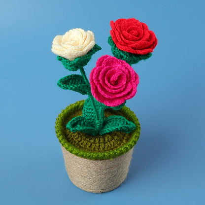 Crocheted potted plant 037