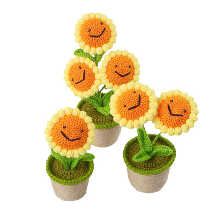 Crocheted potted plant 023
