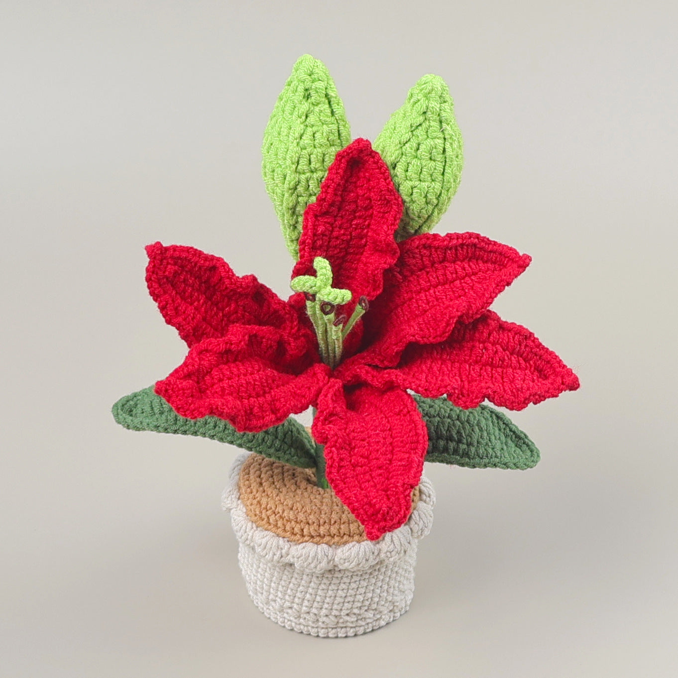 Crocheted potted plant 021