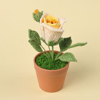 Crocheted potted plant 038
