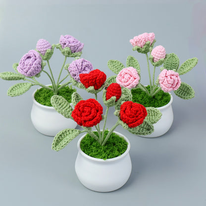 Crocheted potted plant 005