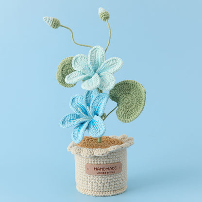 Crocheted potted plant 027