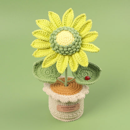 Crocheted potted plant 022