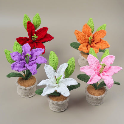 Crocheted potted plant 021