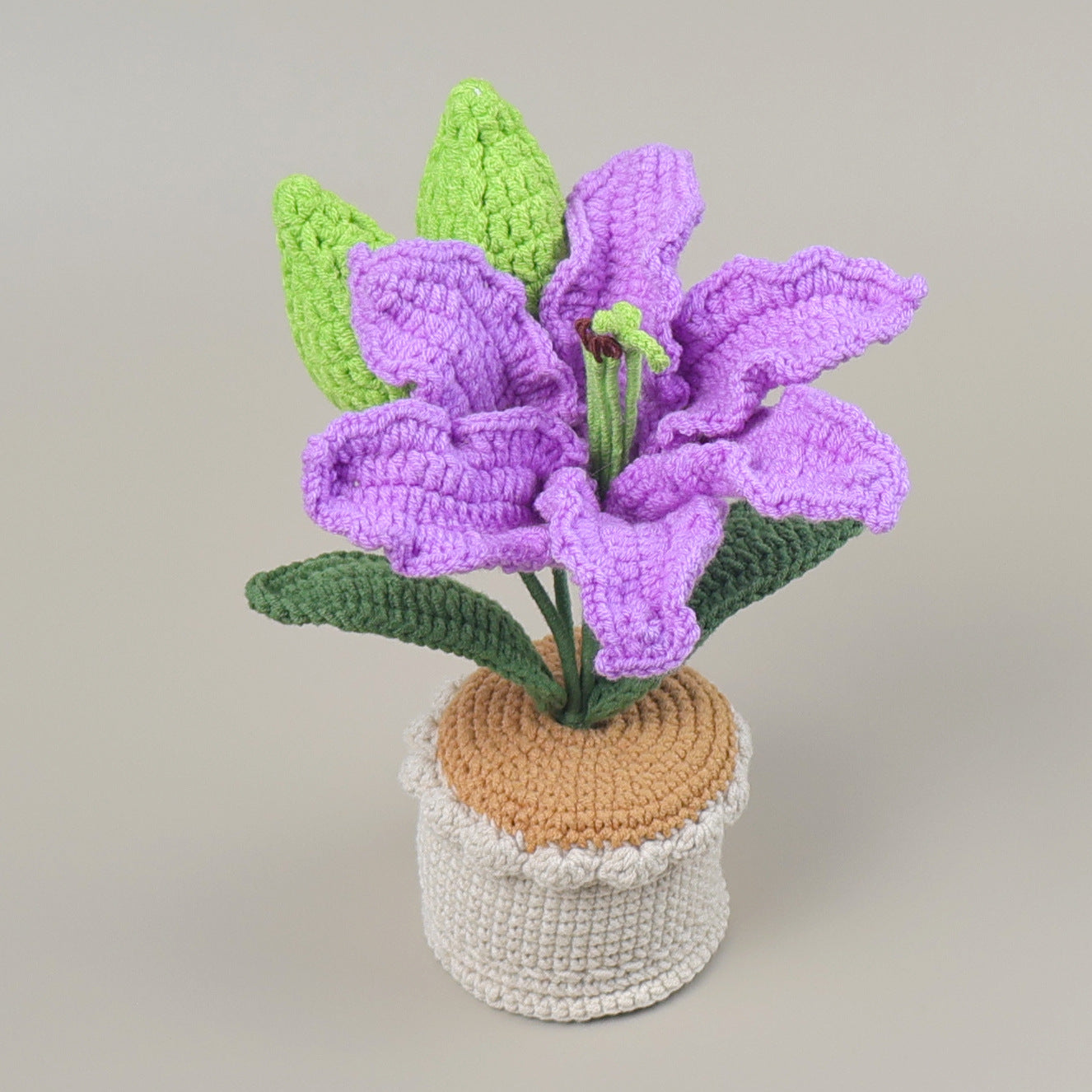 Crocheted potted plant 021