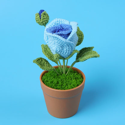 Crocheted potted plant 038