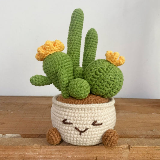 Crocheted potted plant 024