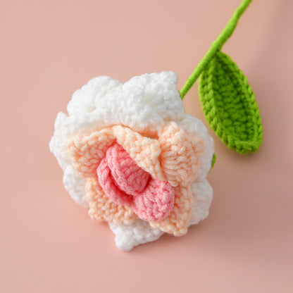 Crocheted gradient pointed rose