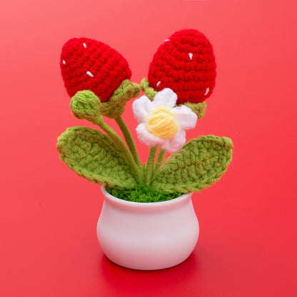 Handmade crocheted wool  strawberry potted plant