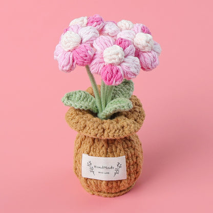 Five-headed puffs potted plant in vase