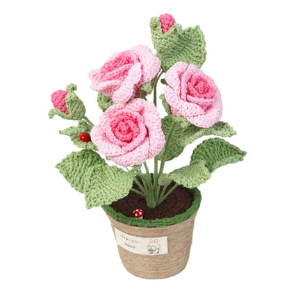 Crocheted potted plant 002