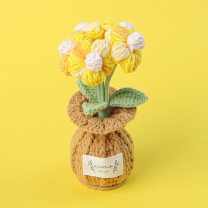 Five-headed puffs potted plant in vase