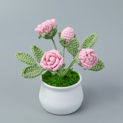 Crocheted potted plant 005