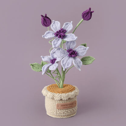 Crocheted potted plant 040