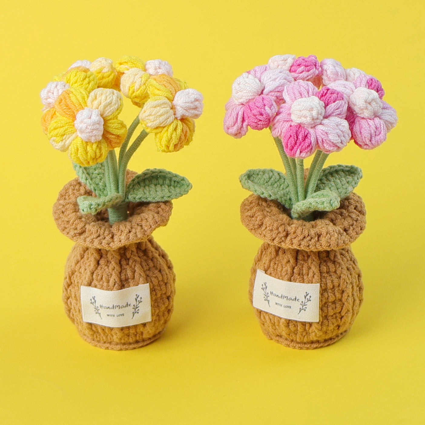 Five-headed puffs potted plant in vase